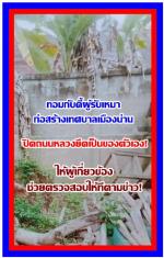 คนเมืองน่านปลื้มใจขอขอบคุณ ท่านร.อ. ธรรมนัส พรหมเผ่า ที่นำทีม รัฐมนตรีไปช่วยเหลือชาวบ้านในการ (ล้างถนนและล้างบริเวณบ้าน จนดูสวยงามมาก) ขณะเดียวกันมีชาวบ้านส่งรูปมาฟ้องด้วยภาพว่ามี (รถชลประทานนำน้ำไปเต็มคันรถ) ชาวบ้านนึกว่าจะไปช่วยชาวบ้านที่แท้ เอาไปล้างบ้